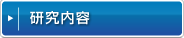 研究内容